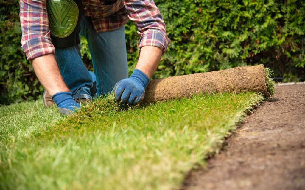 how much does sod cost in utah