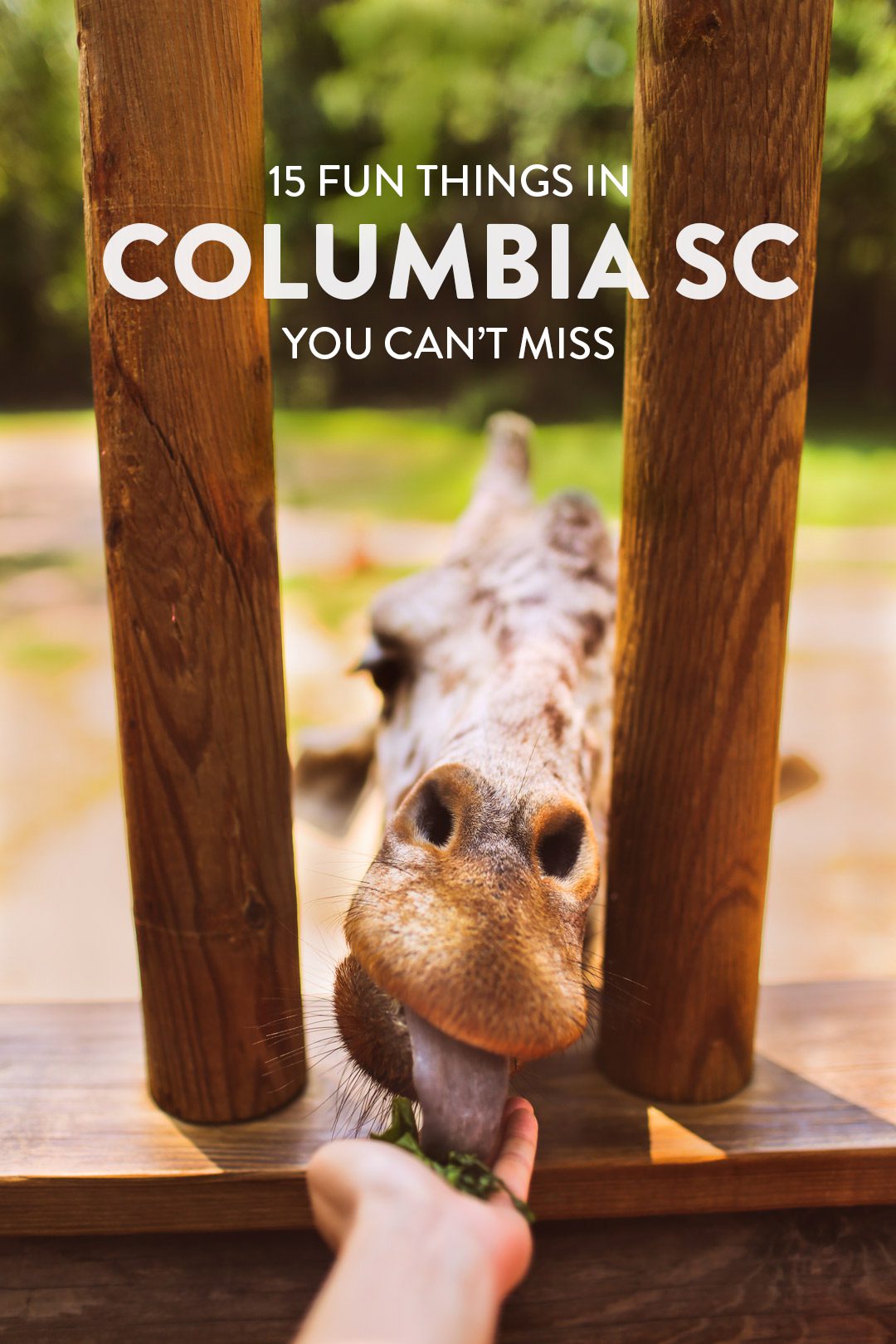 Things to Do in Columbia Sc