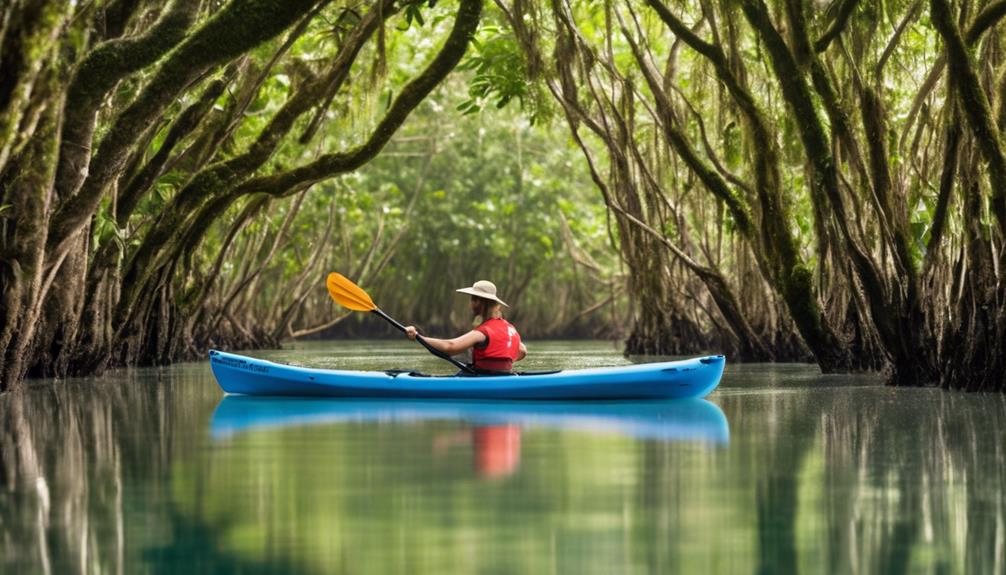 exploring mangrove estuaries by kayak