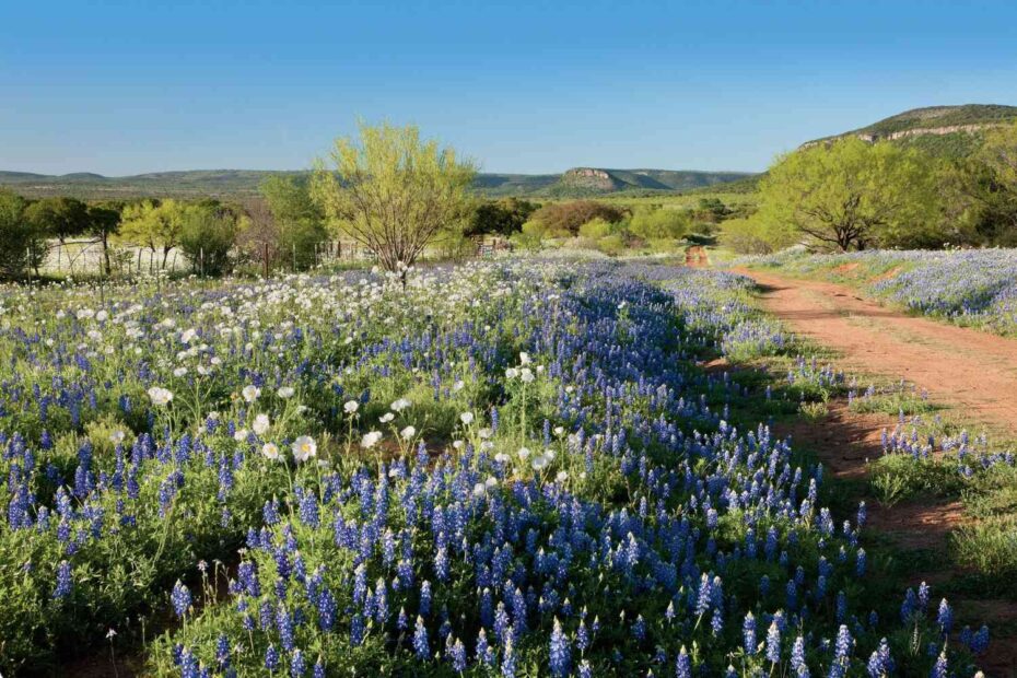 Things to Do in Texas Hill Country