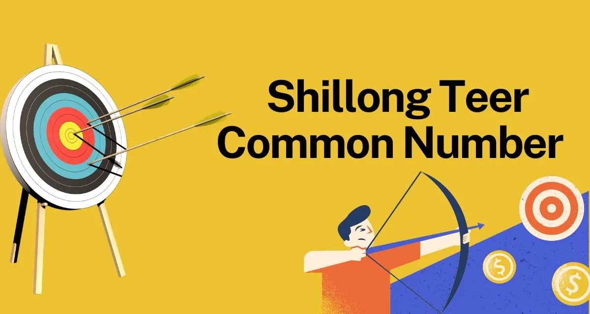 What is the Secret Common Number of Shillong Teer?