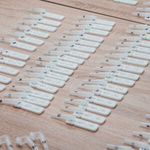 Photo Fragrance testing