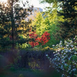 Photo Tranquil setting