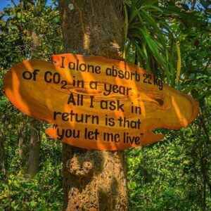 Photo Soothing candlelight