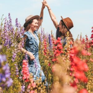 Photo wick comparison