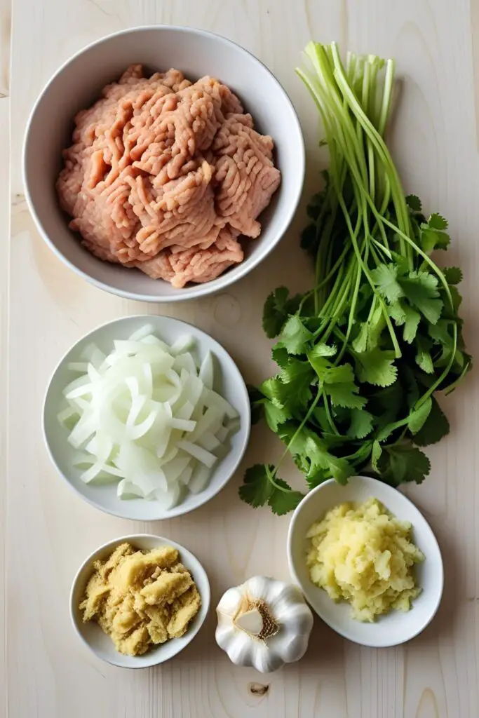 A flat lay of the fresh ingredients for a chicken momo filling, including ground chicken, onion, ginger, and cilantro.