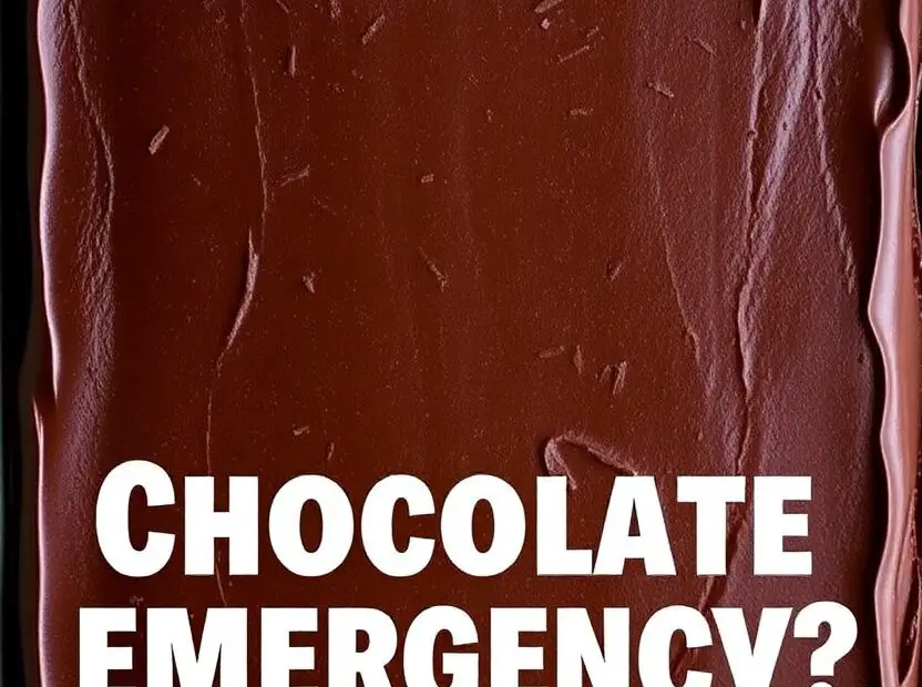 The easiest and most delicious chocolate sheet cake recipe that's perfect for any occasion.