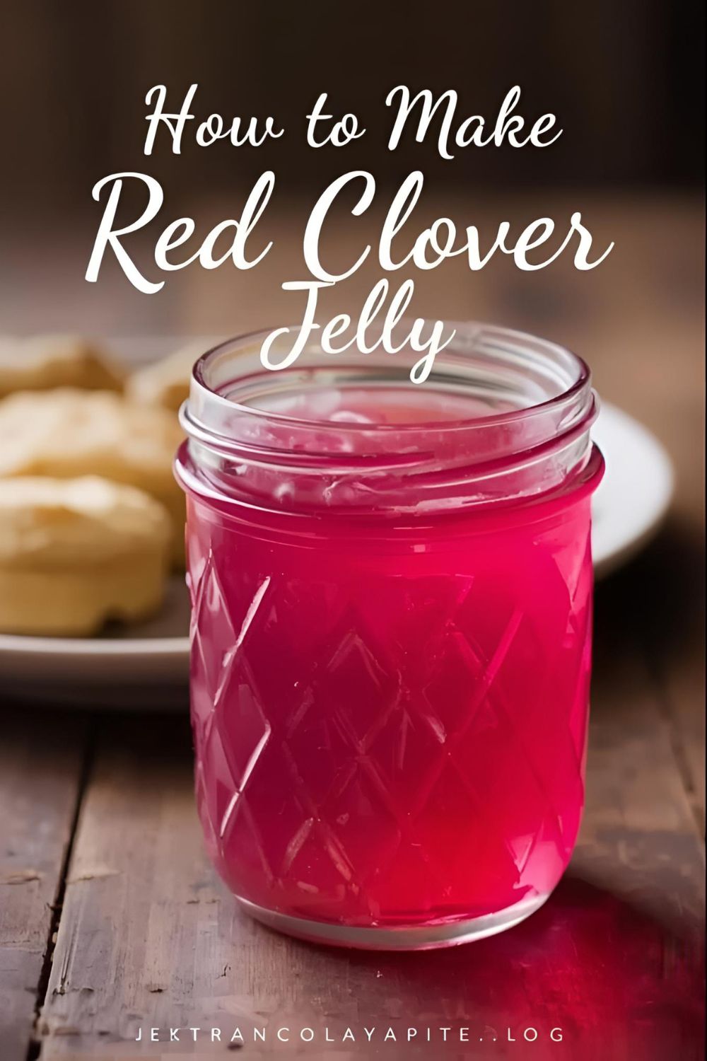 A beautiful jar of homemade red clover jelly with a text overlay that says "How to Make Red Clover Jelly."